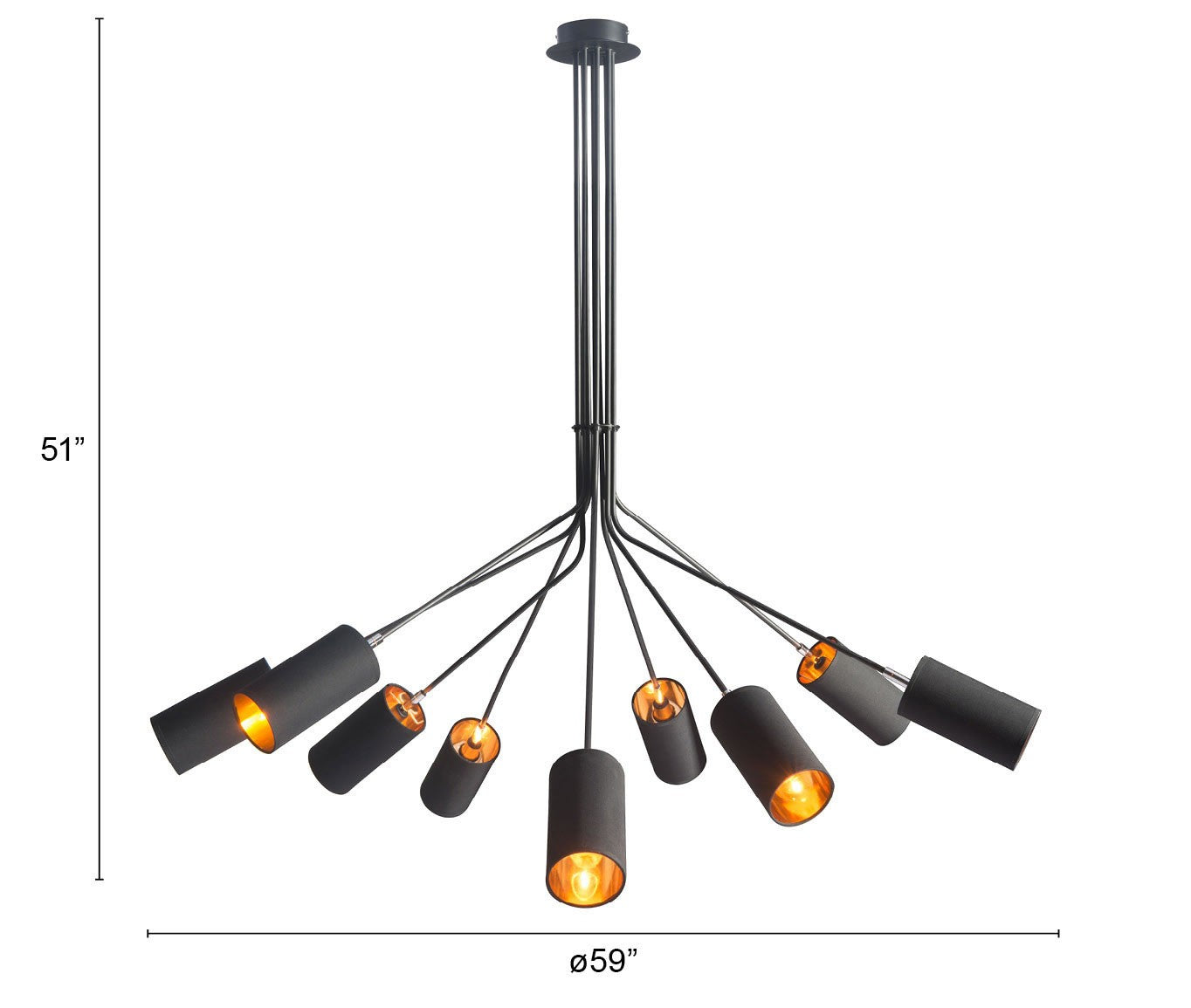 HomeRoots Explosion Ceiling Lamp in Black Finish
