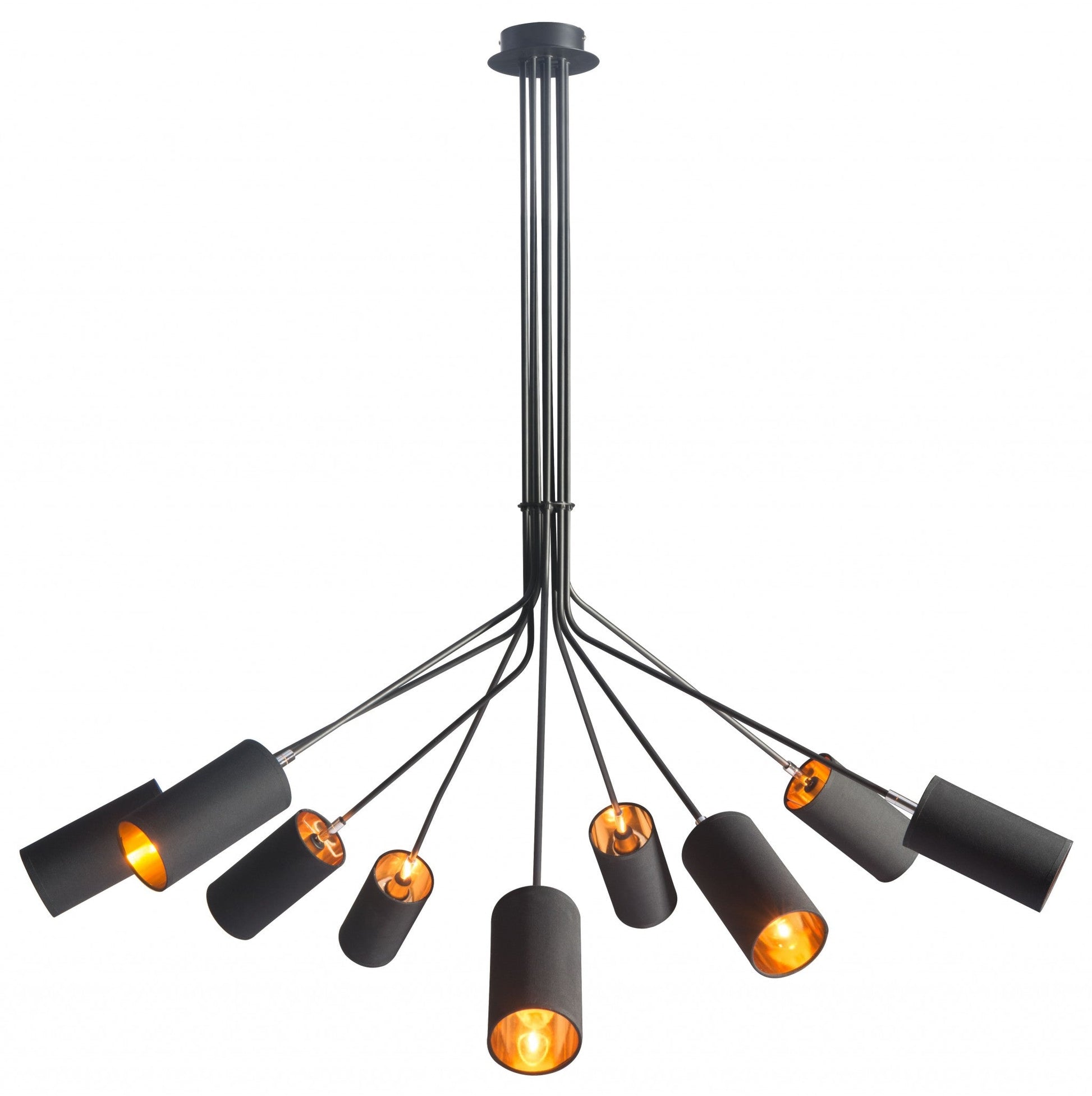 HomeRoots Explosion Ceiling Lamp in Black Finish