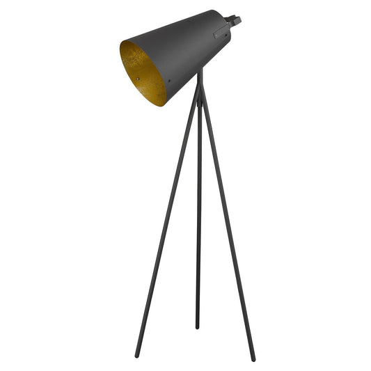 HomeRoots Faza 1-Light Floor Lamp in Matte Black Finish