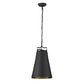 HomeRoots Faza 1-Light Pendant in Matte Black Finish