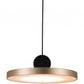 HomeRoots Flat Deco Ceiling Lamp in Gold Finish