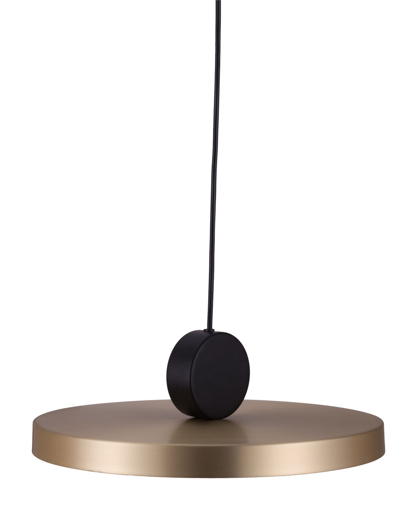 HomeRoots Flat Deco Ceiling Lamp in Gold Finish