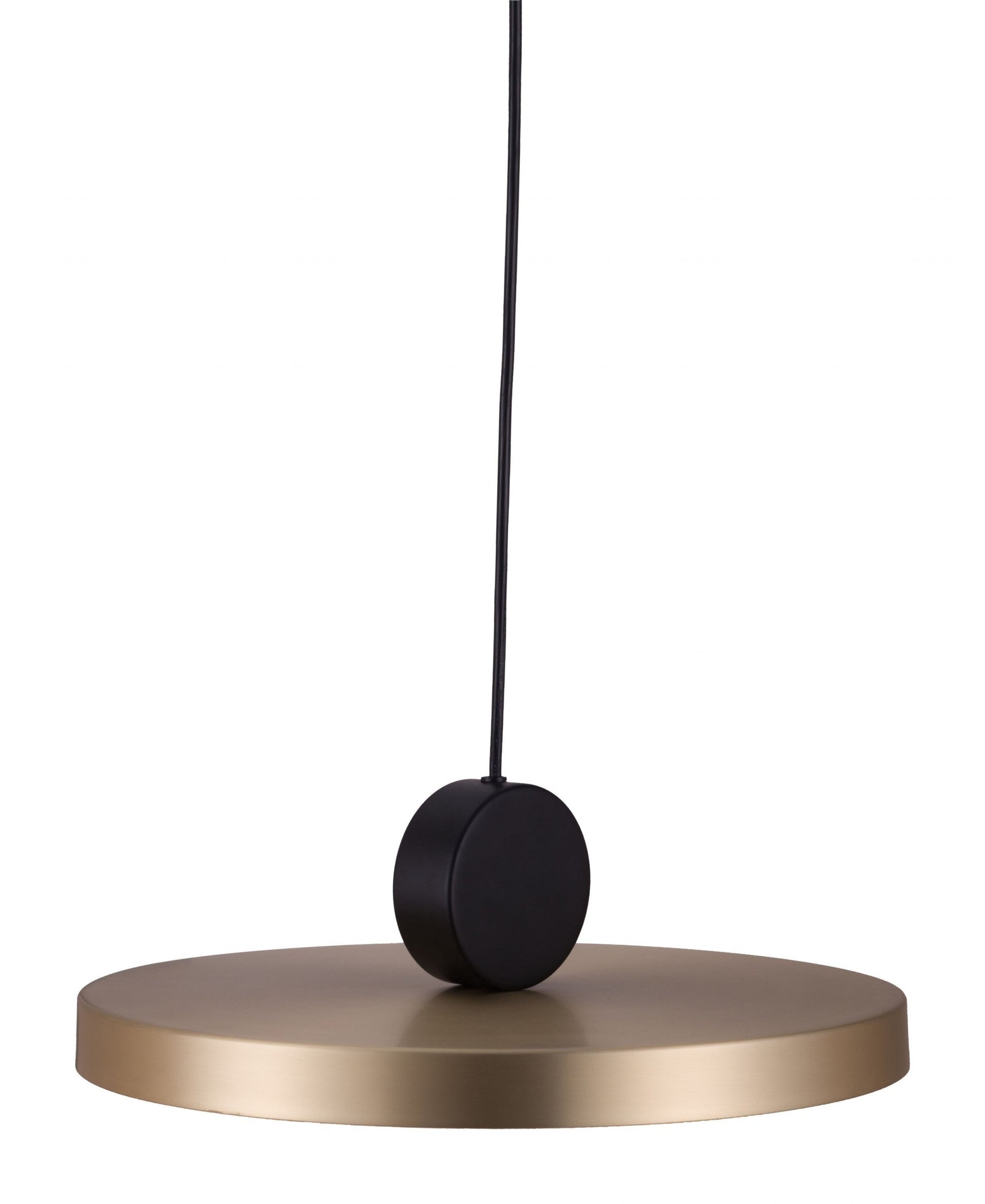HomeRoots Flat Deco Ceiling Lamp in Gold Finish
