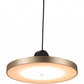 HomeRoots Flat Deco Ceiling Lamp in Gold Finish
