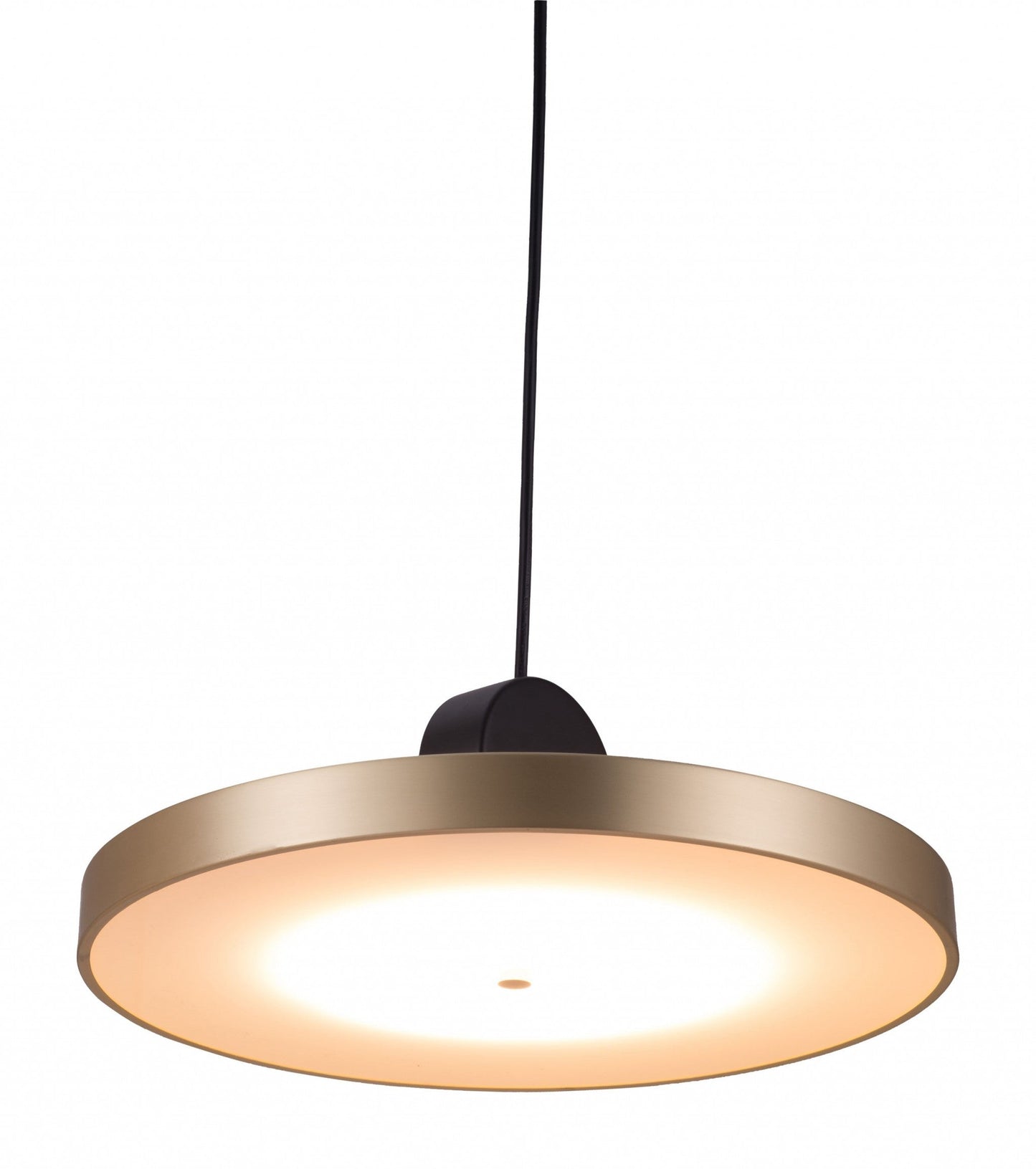 HomeRoots Flat Deco Ceiling Lamp in Gold Finish