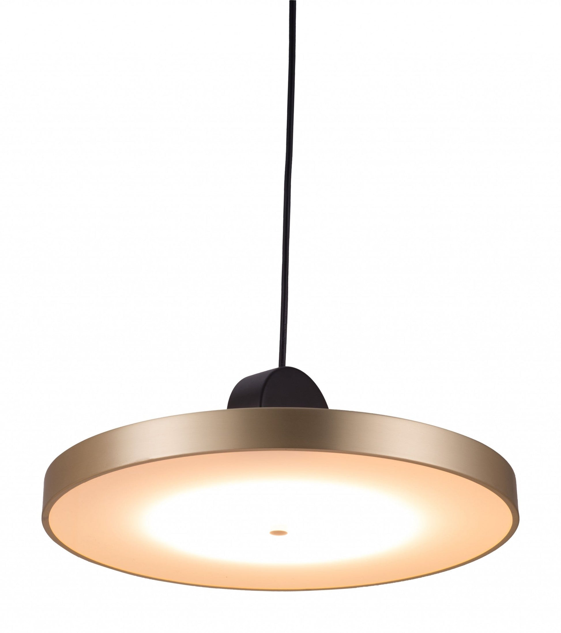 HomeRoots Flat Deco Ceiling Lamp in Gold Finish