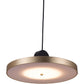 HomeRoots Flat Deco Ceiling Lamp in Gold Finish