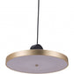 HomeRoots Flat Deco Ceiling Lamp in Gold Finish