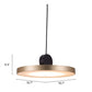 HomeRoots Flat Deco Ceiling Lamp in Gold Finish