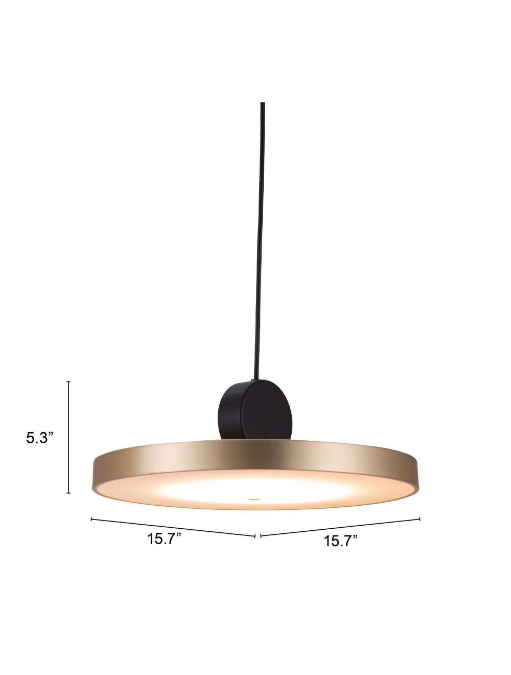 HomeRoots Flat Deco Ceiling Lamp in Gold Finish