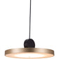HomeRoots Flat Deco Ceiling Lamp in Gold Finish
