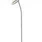 HomeRoots Floor Lamp With Halo Shade in Black Metal Finish