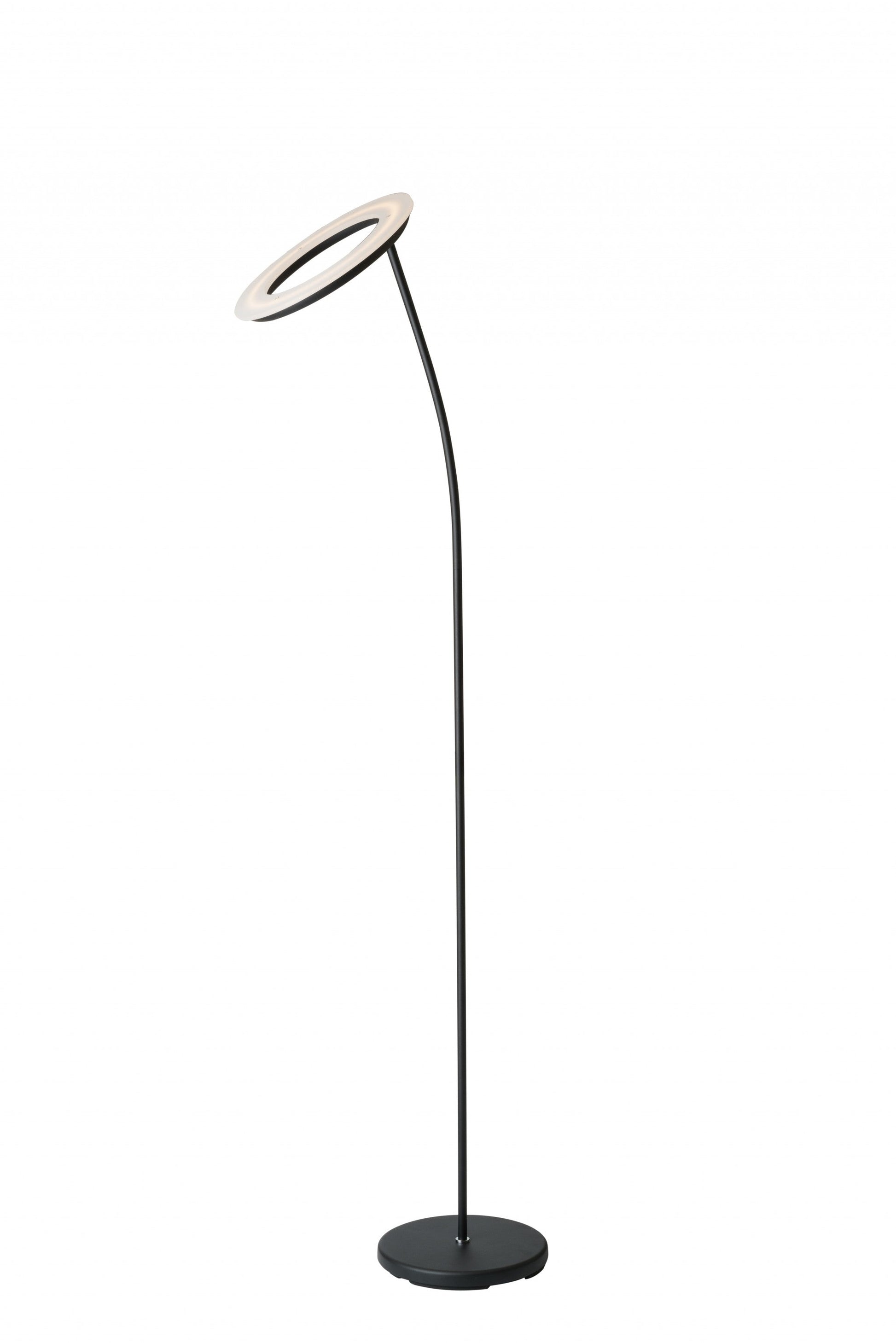 HomeRoots Floor Lamp With Halo Shade in Black Metal Finish