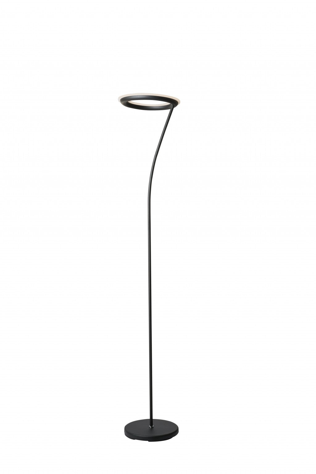 HomeRoots Floor Lamp With Halo Shade in Black Metal Finish