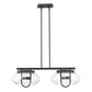 HomeRoots Garner 4-Light Island Pendant in Oil Rubbed Bronze Finish