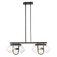HomeRoots Garner 4-Light Island Pendant in Oil Rubbed Bronze Finish
