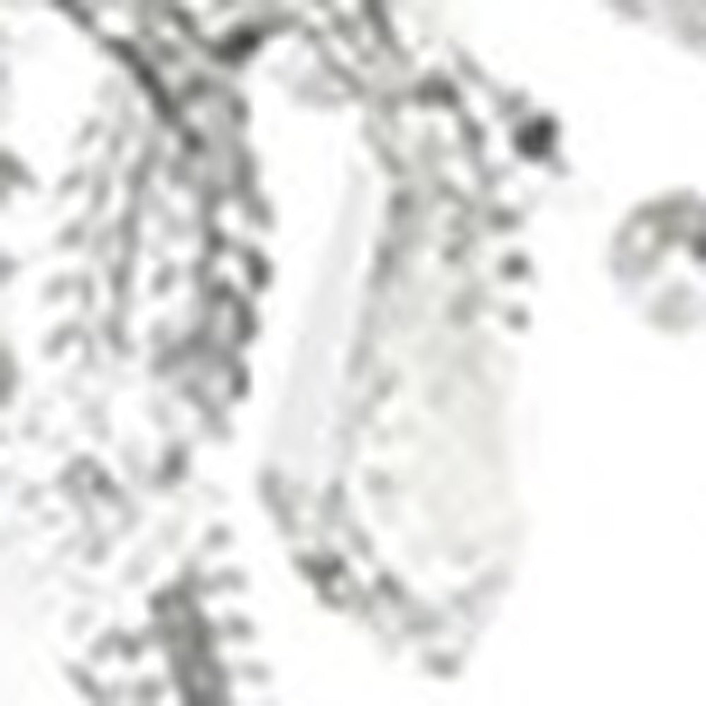 HomeRoots Glam Silver Faux Crystal Hanging Celing Lamp With See Thru Shade