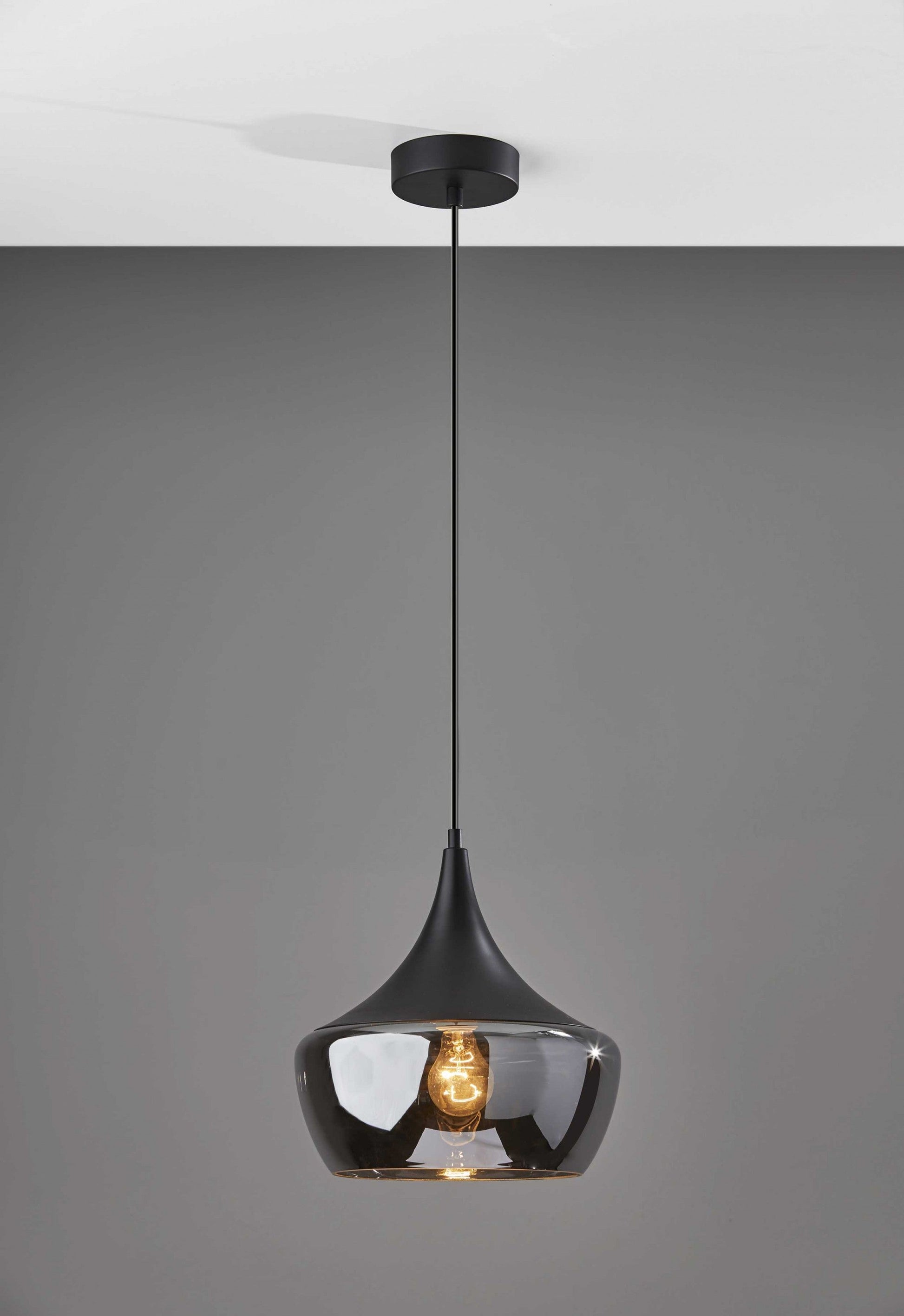HomeRoots Gnome Smoked Glass Pendant Lamp With Black Metal Finish