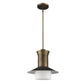 HomeRoots Greta 1-Light Pendant With Gloss White Interior And Etched Glass Shade in Raw Brass Finish