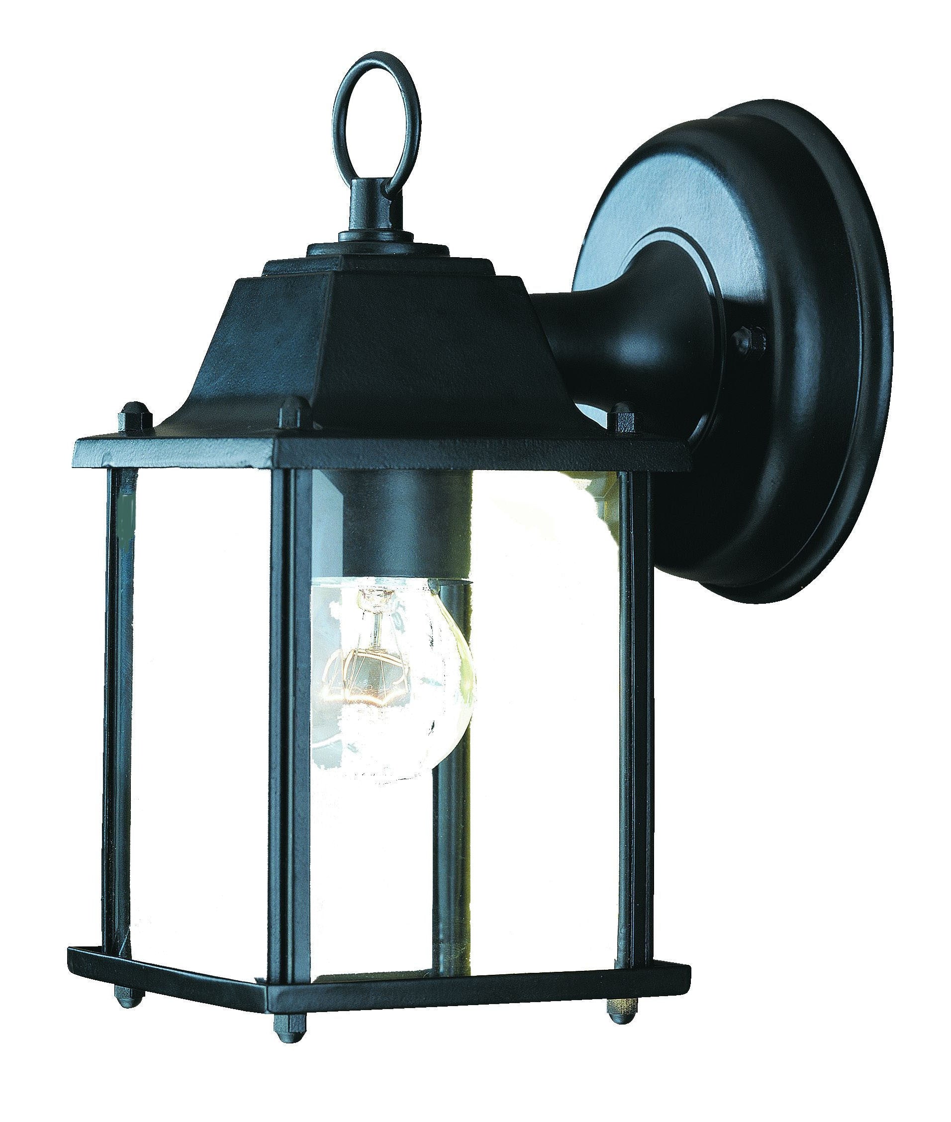 HomeRoots Hanging Glass Lantern Wall Light With Matte Black Finish