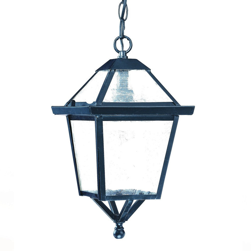 HomeRoots Hanging Lantern Light in Matte Black Finish
