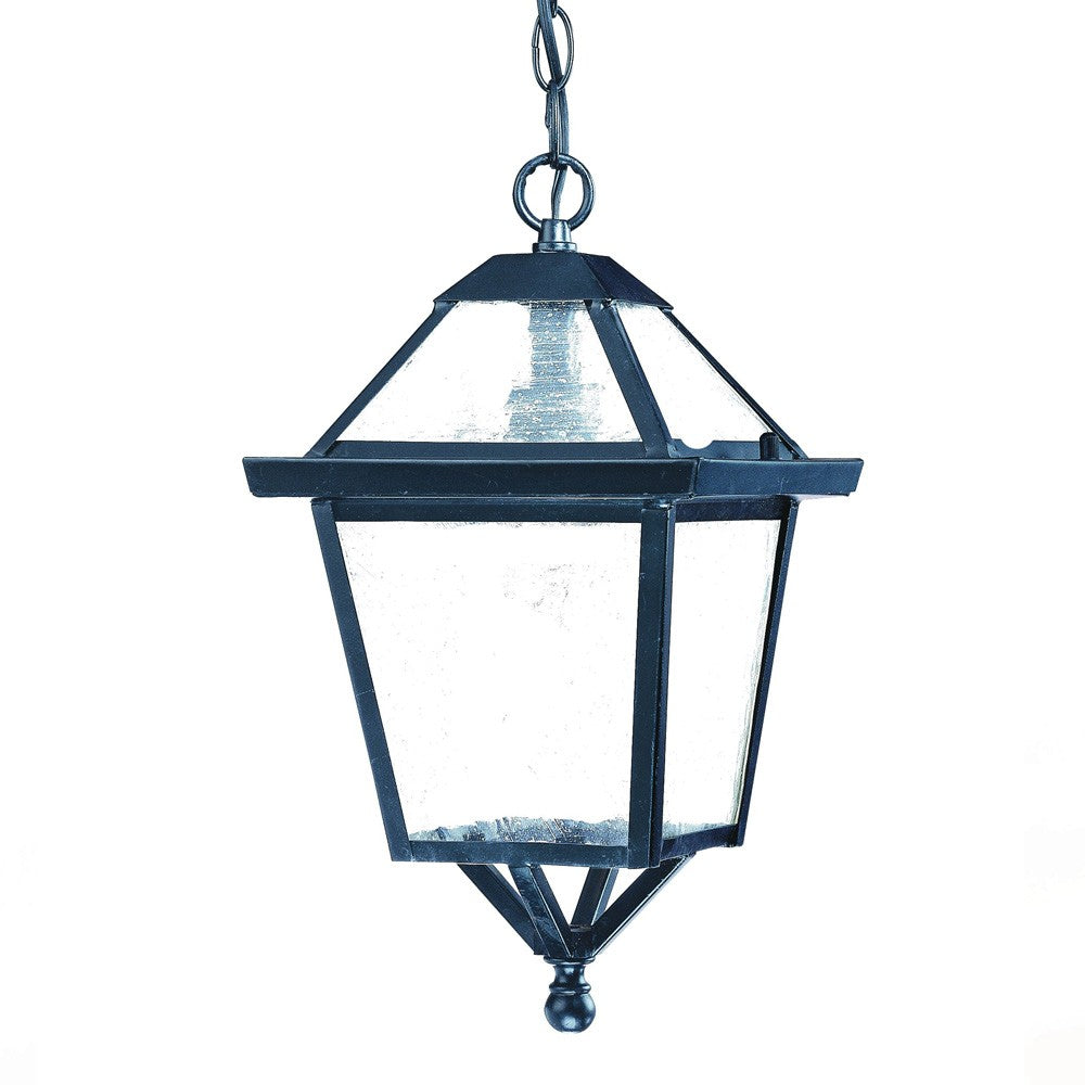 HomeRoots Hanging Lantern Light in Matte Black Finish