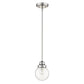 HomeRoots Hanging Light With Round Clear Glass Shade and Silver Metal Finish