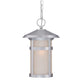 HomeRoots Hanging Light With Round White Glass in Brushed Silver Finish