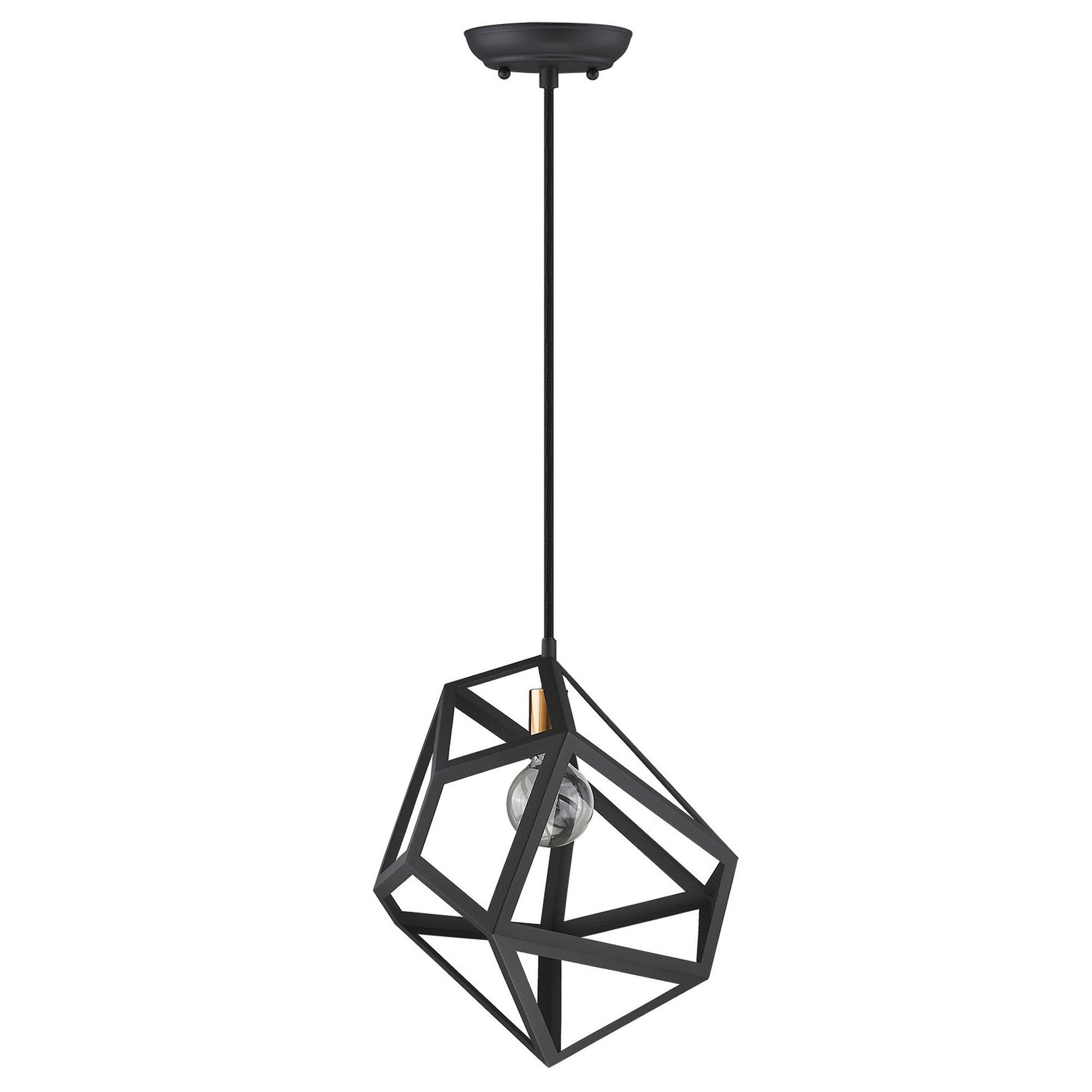 HomeRoots Hedron 1-Light Pendant in Matte Black Finish
