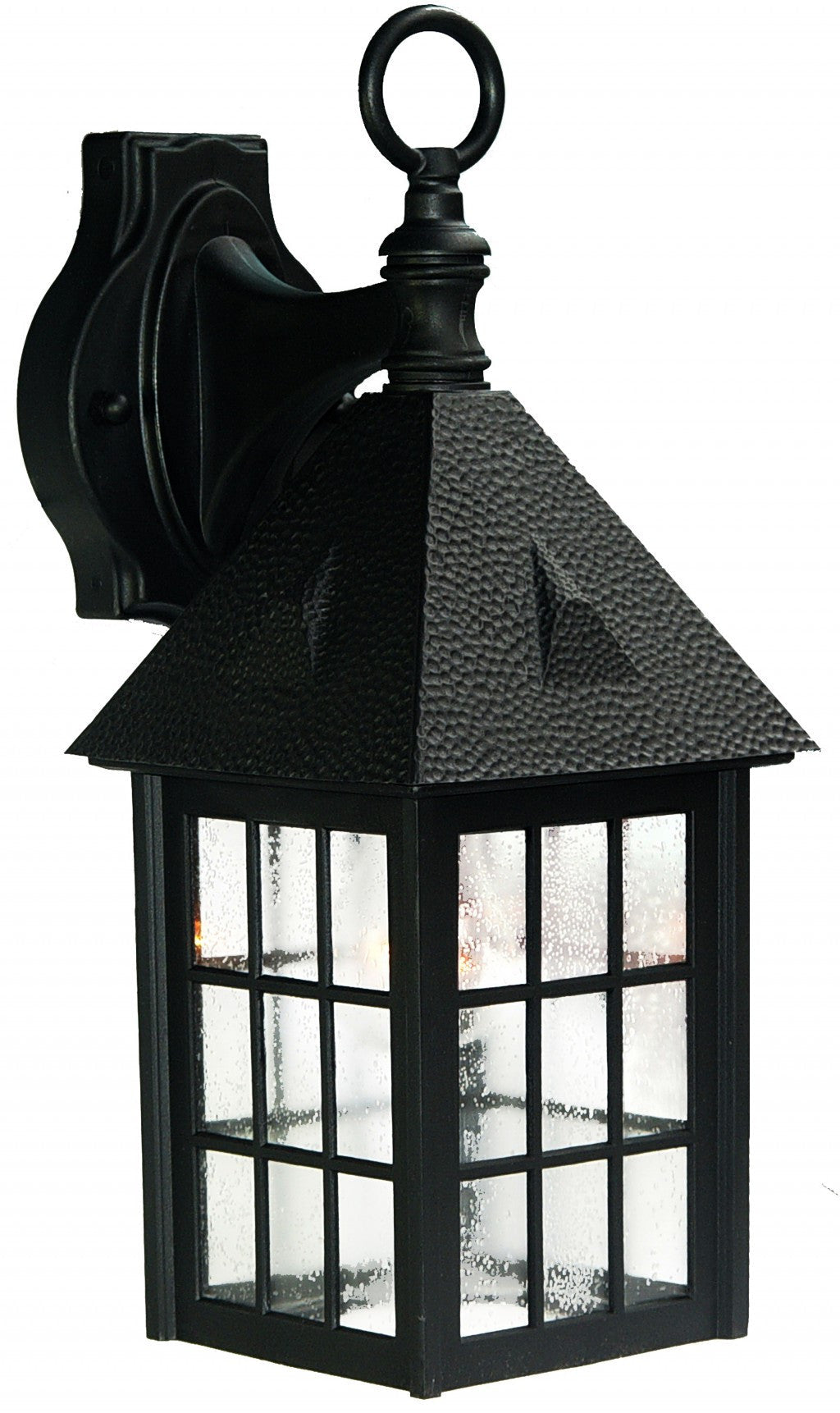 HomeRoots House Shaped Wall Light in Matte Black Finish