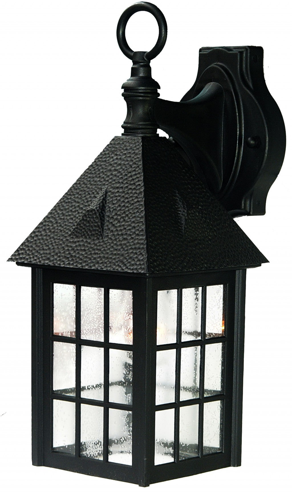 HomeRoots House Shaped Wall Light in Matte Black Finish