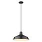 HomeRoots Industrial Hanging Light in Matte Black Finish