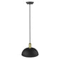 HomeRoots Ingo 1-Light Pendant in Matte Black Finish