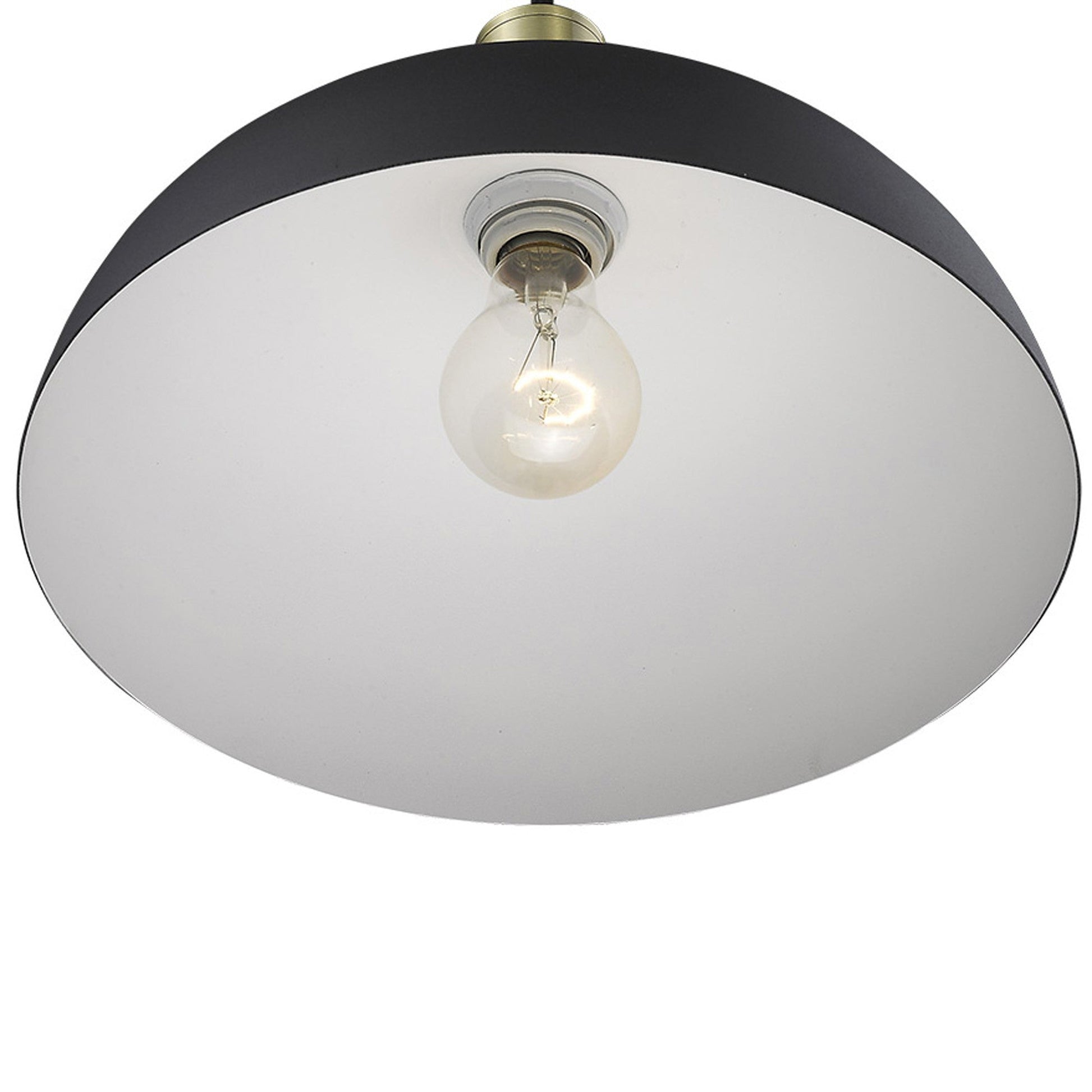 HomeRoots Ingo 1-Light Pendant in Matte Black Finish