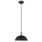 HomeRoots Ingo 1-Light Pendant in Matte Black Finish