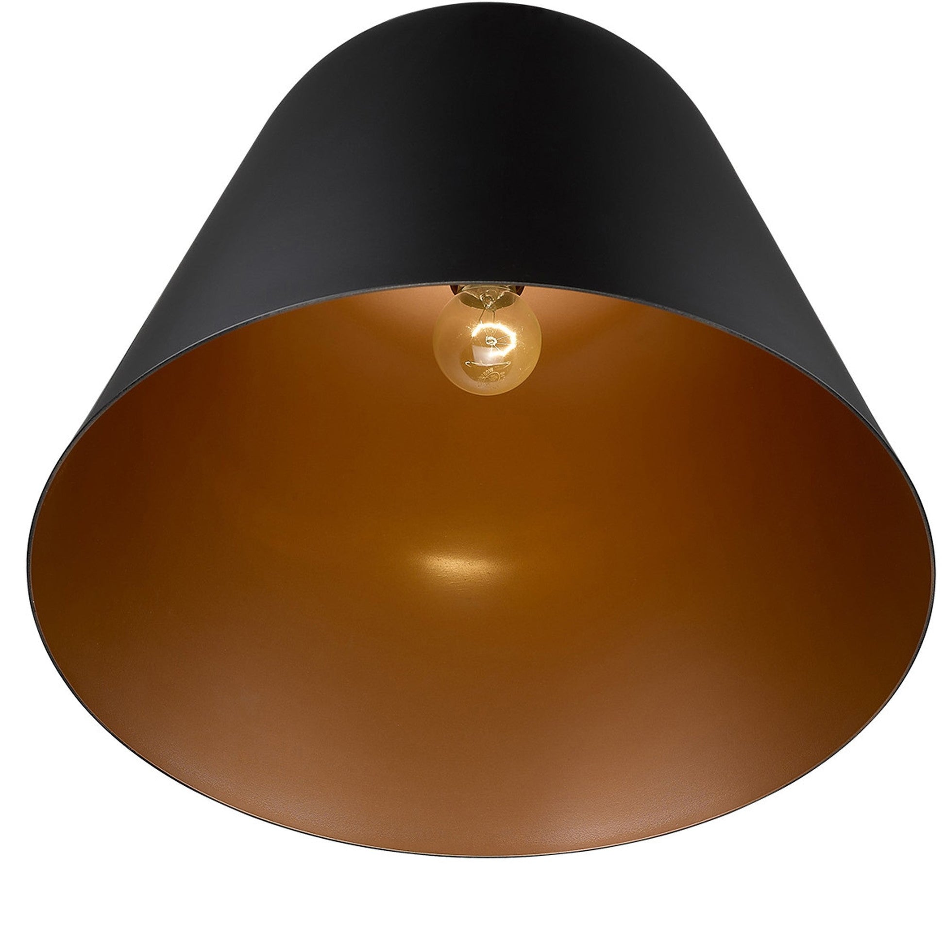 HomeRoots Knell 1-Light Pendant in Matte Black Finish