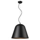 HomeRoots Knell 1-Light Pendant in Matte Black Finish
