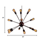 HomeRoots Laila 12-Light Edison Lamp With Bulbs In Bronze Finish