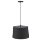 HomeRoots Lamia 1-Light Mini Pendant in Matte Black Finish