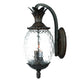 HomeRoots Lanai 3-Light Coral Wall Light in Black Finish