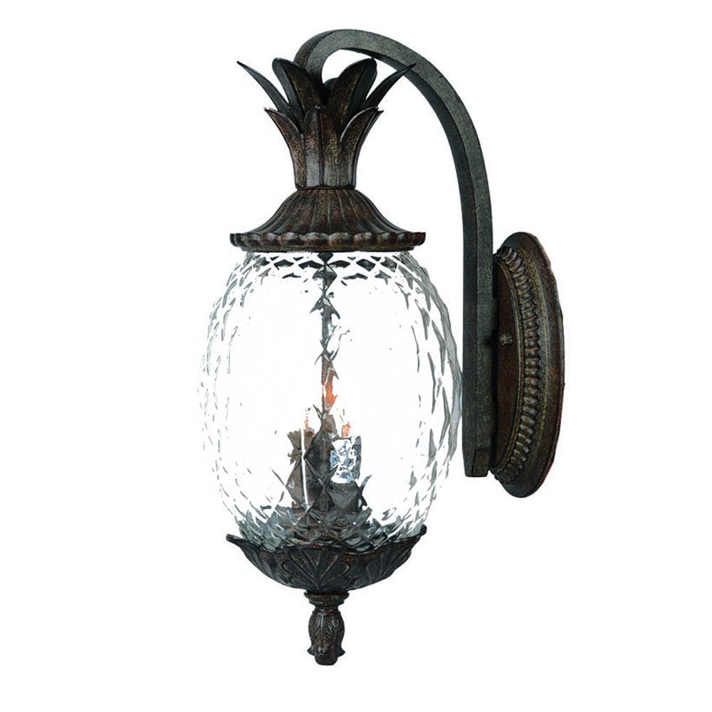 HomeRoots Lanai 3-Light Coral Wall Light in Black Finish