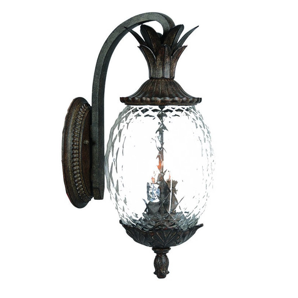 HomeRoots Lanai 3-Light Coral Wall Light in Black Finish