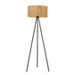 HomeRoots Lisbon 1-Light Floor Lamp in Matte Black Finish