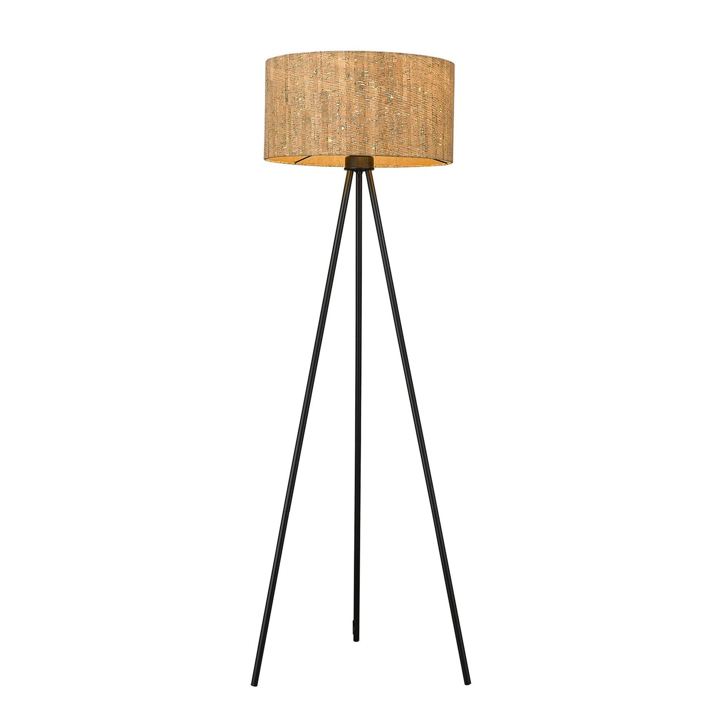 HomeRoots Lisbon 1-Light Floor Lamp in Matte Black Finish