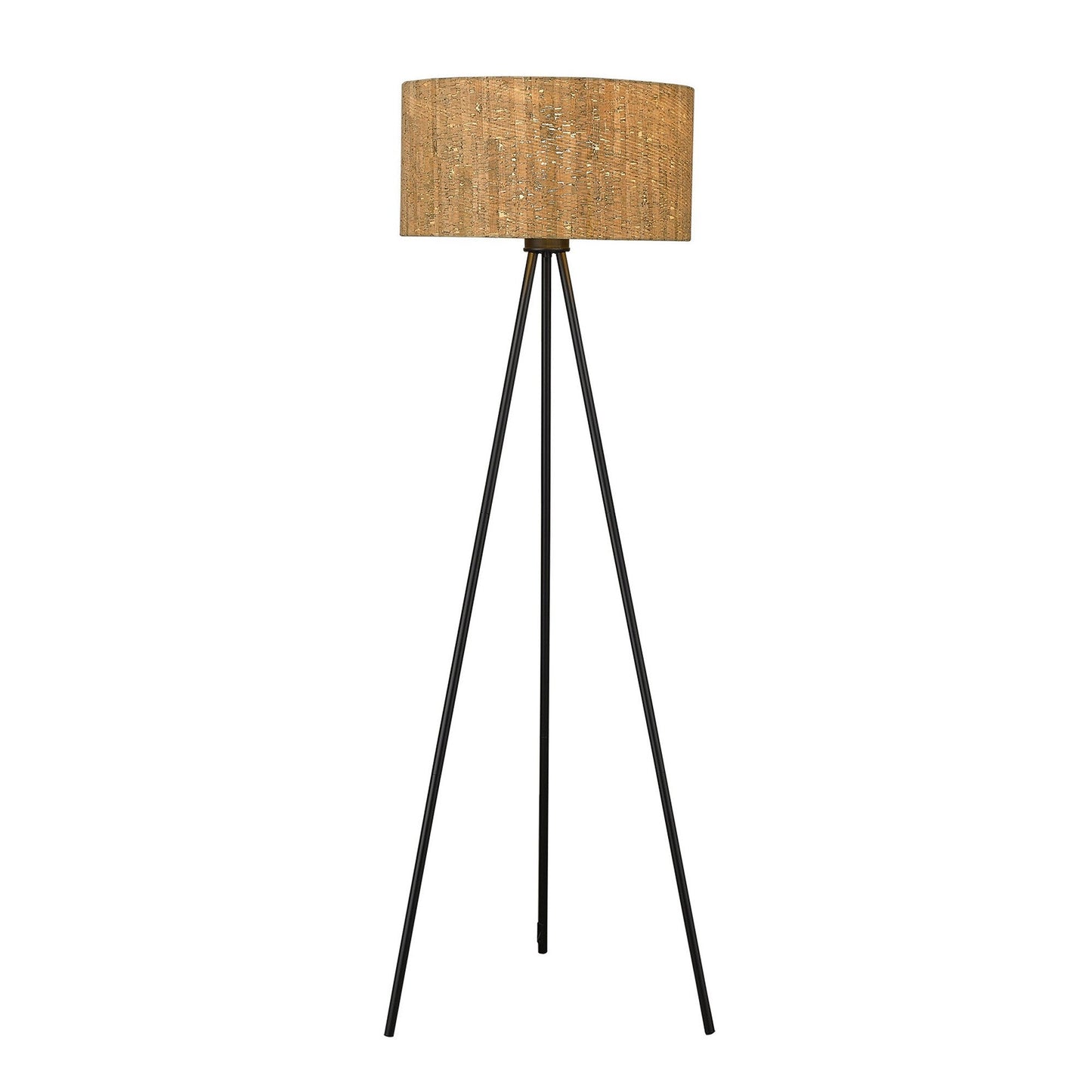 HomeRoots Lisbon 1-Light Floor Lamp in Matte Black Finish