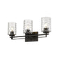 HomeRoots Livvy 3-Light Vanity in Oil Rubbed Bronze Finish
