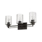 HomeRoots Livvy 3-Light Vanity in Oil Rubbed Bronze Finish