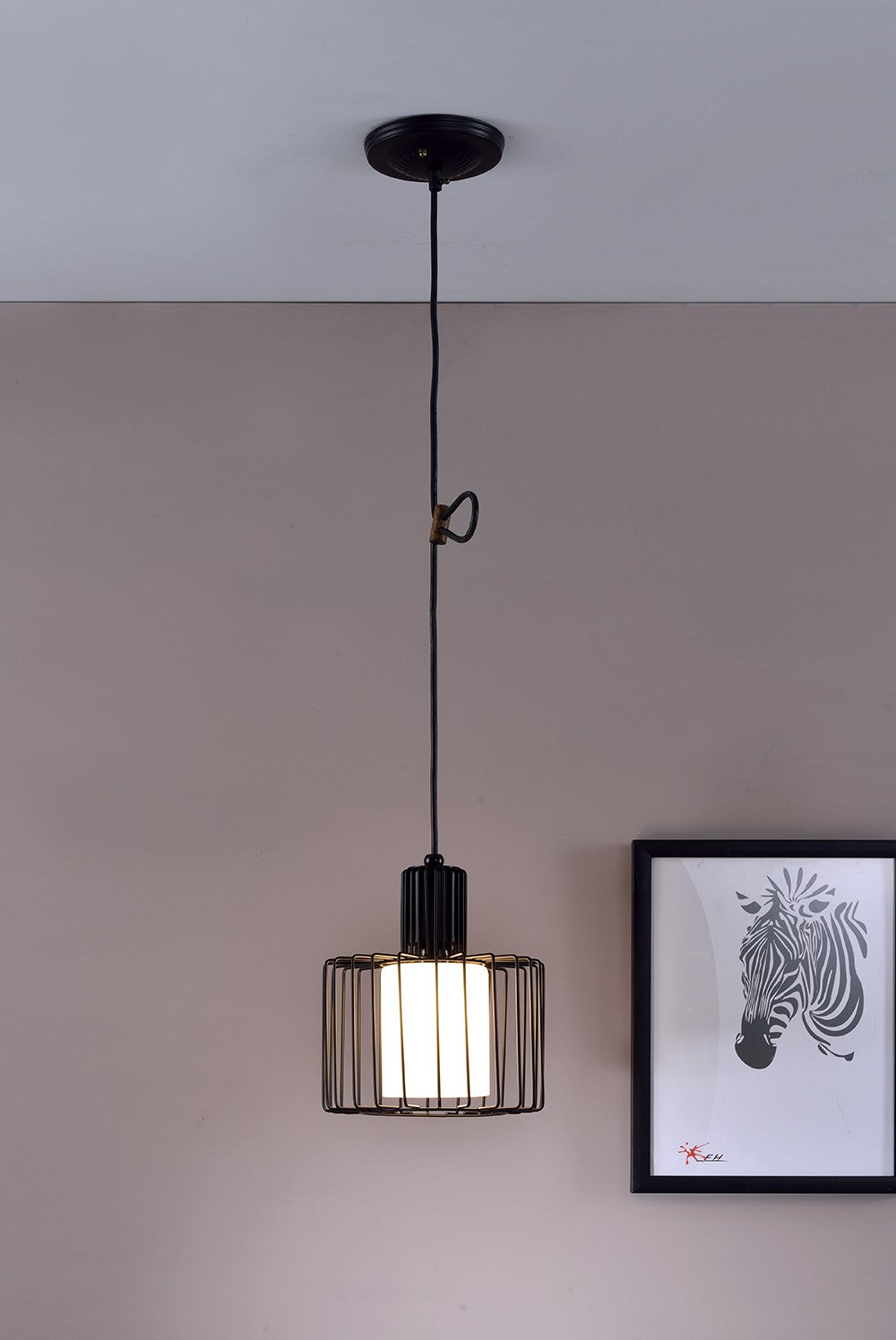 HomeRoots Metal Cage Hanging Light in Black Finish