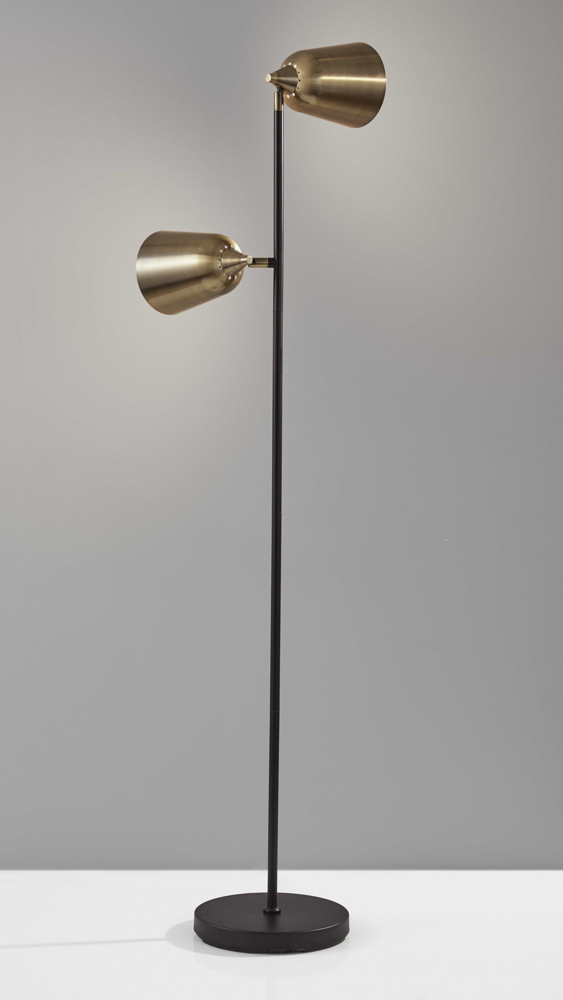 HomeRoots Metal Floor Lamp with Adjustable Antique Brass Shades in Matte Black Finish