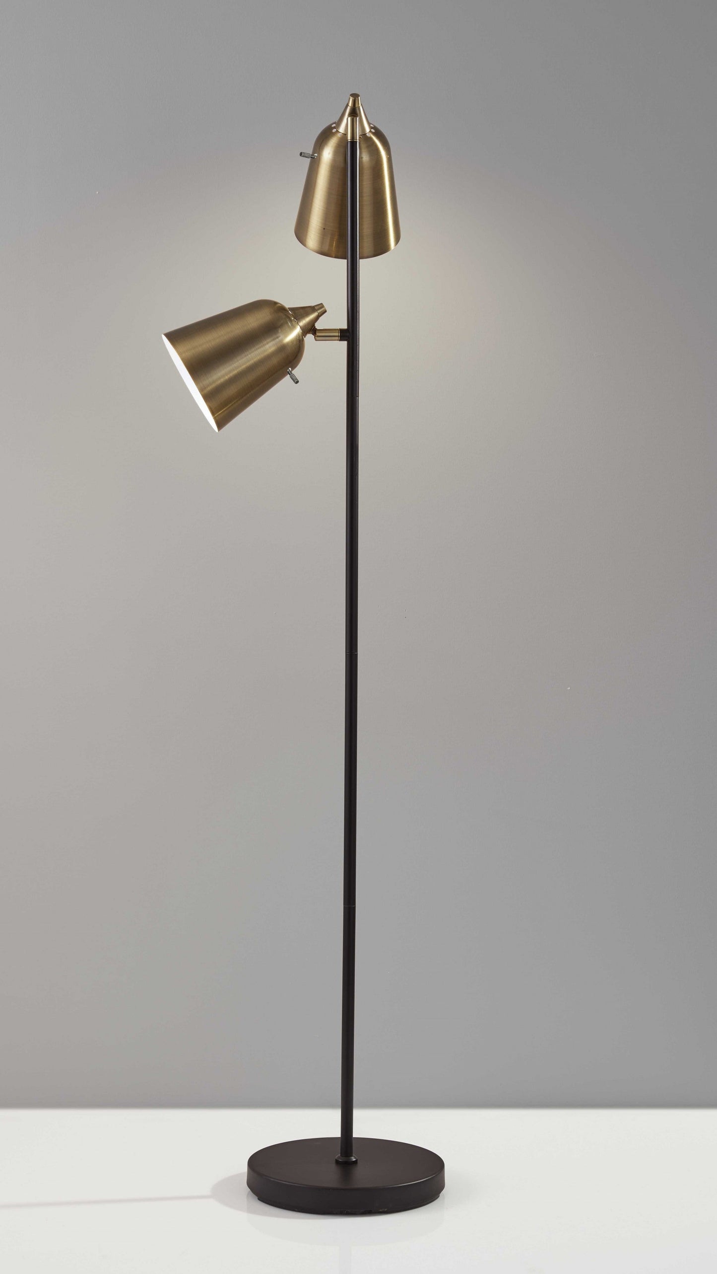 HomeRoots Metal Floor Lamp with Adjustable Antique Brass Shades in Matte Black Finish